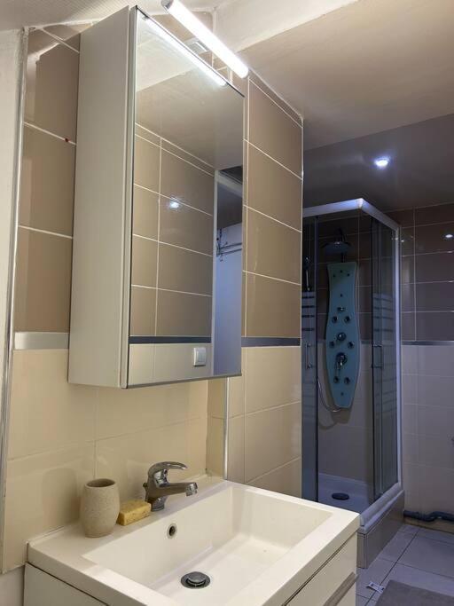 Cosy Studio - 10 Min Away From Cdg Aeroport - 30 Min Away From Paris - Parc Asterix - Olympic Games 2024 Le Thillay Exterior foto